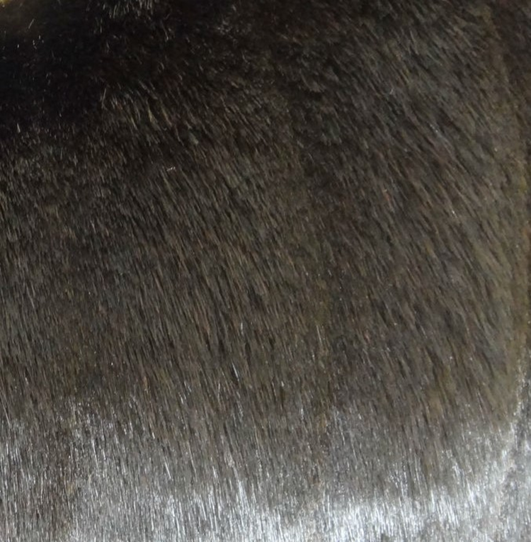 Plutus Silky Dark Brown Mink Faux Fur Throw Pillow