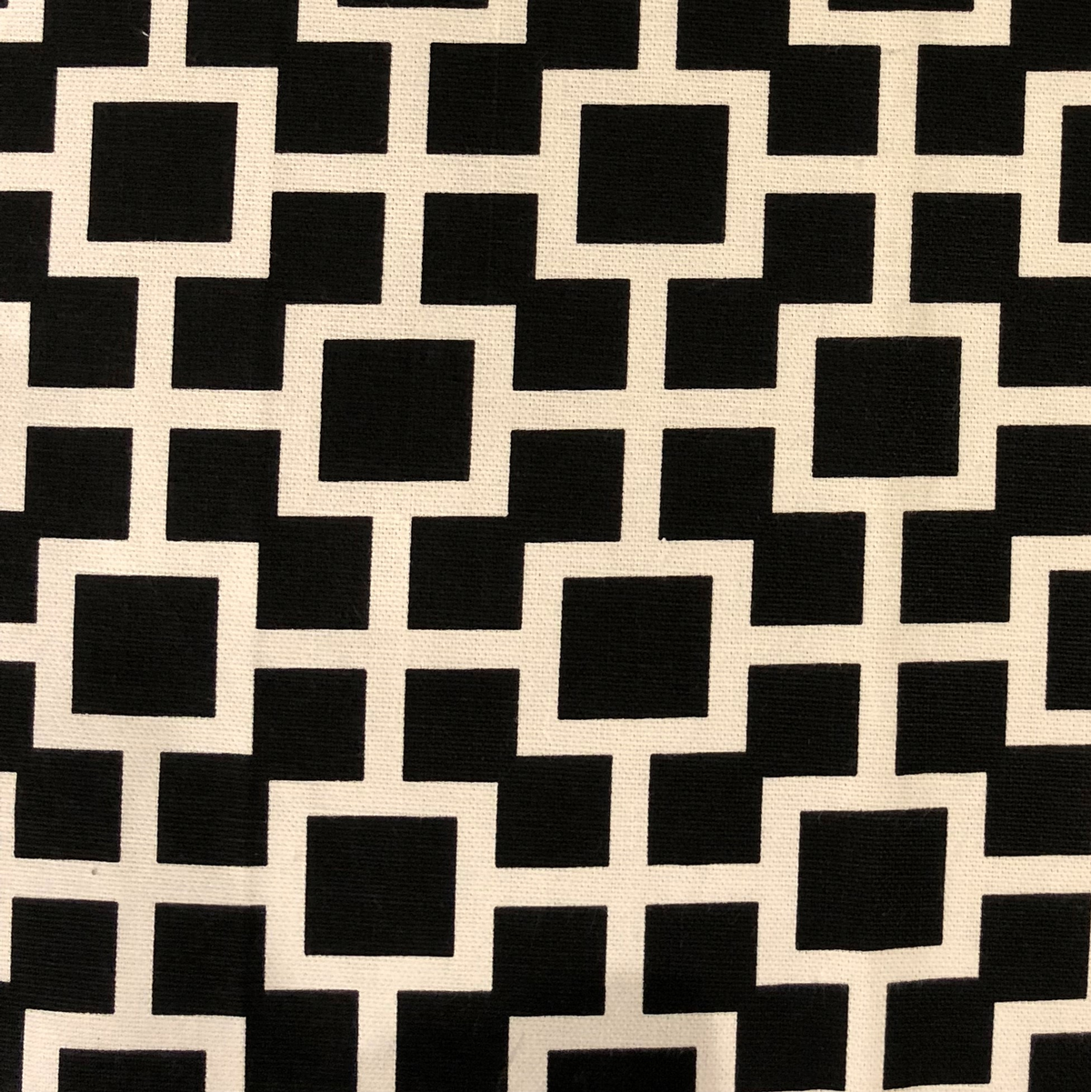 Plutus Petunia Black and White Luxury Throw Pillow