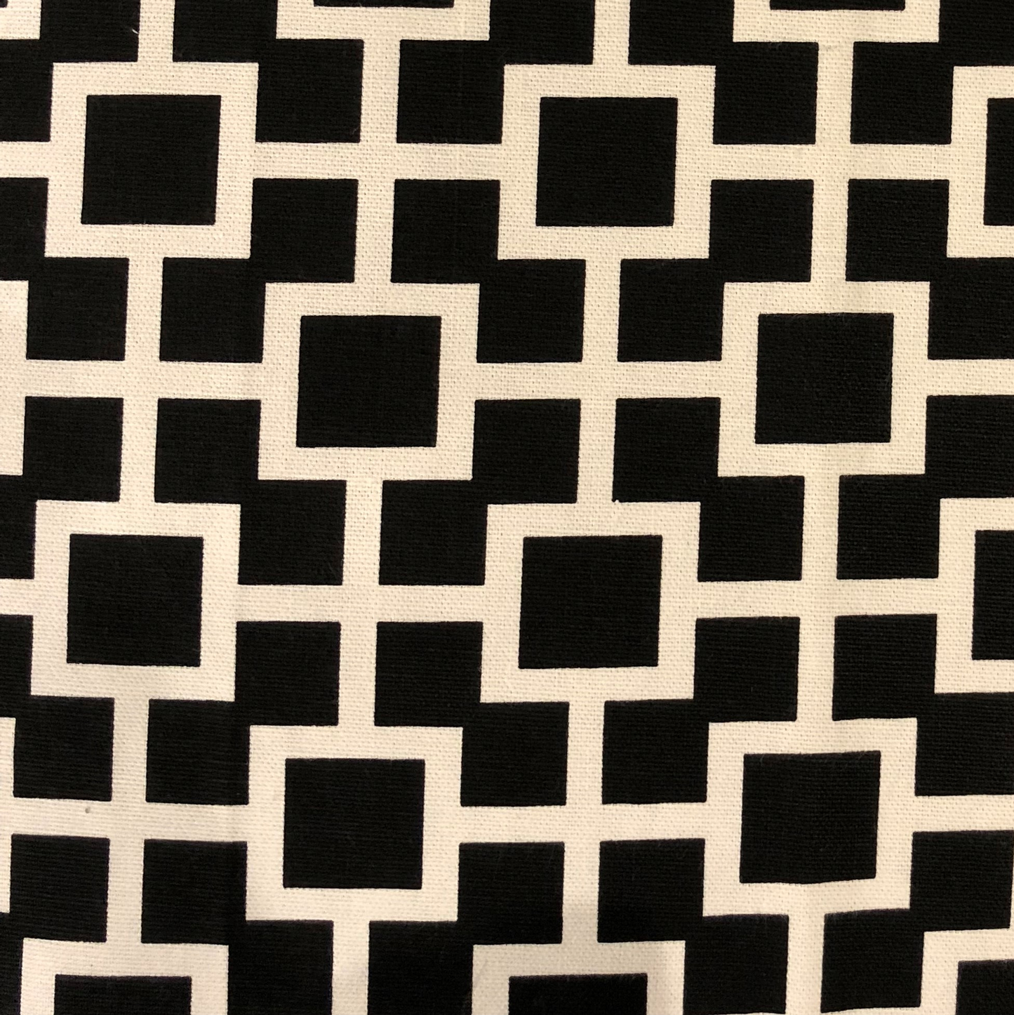 Plutus Petunia Black and White Luxury Throw Pillow