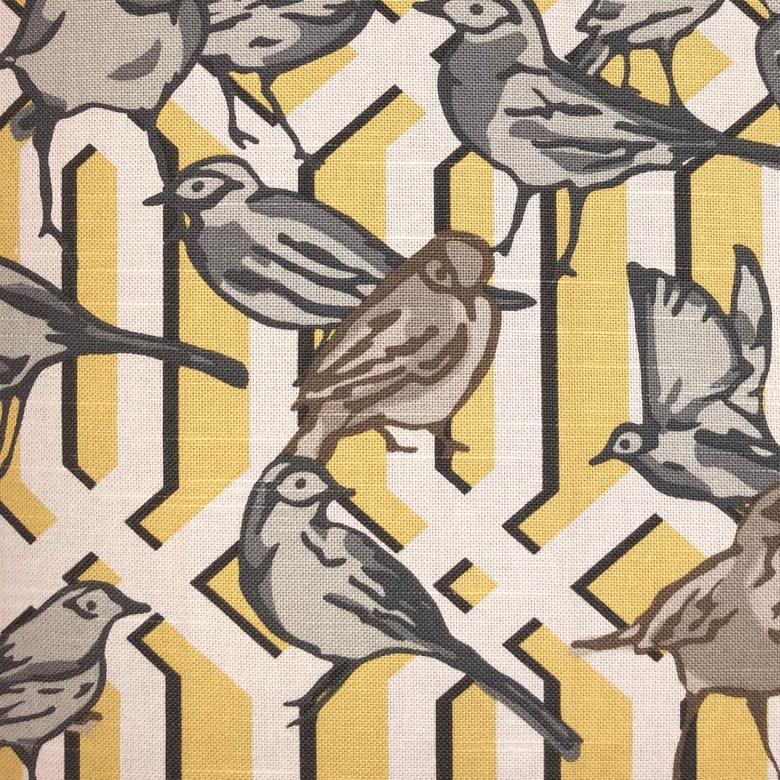 Plutus Song Bird Gardens Yellow, Beige and Gray Luxury Throw Pillow
