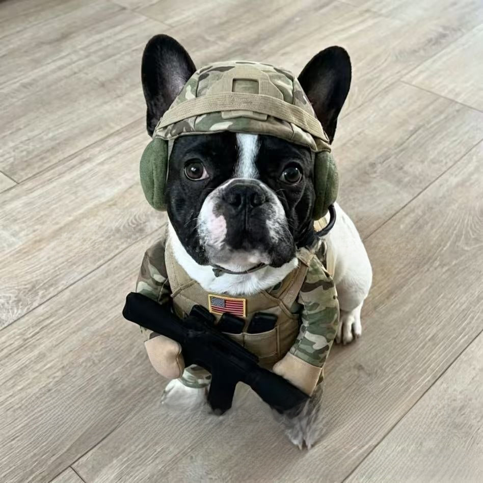 Cartoon Military Style Pet Dog Costume Suit