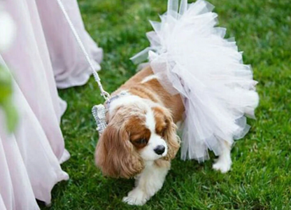 Tutu Joli White Bridal Dog Tutu Skirt