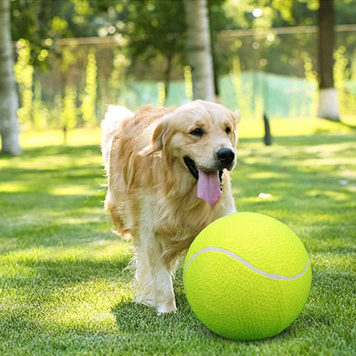 Inflatable Rubber Tennis Ball for Pets and Sports