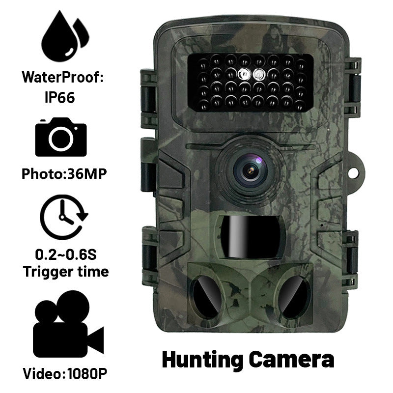Nighttime surveillance camera