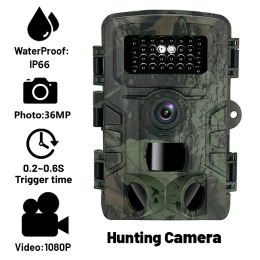 Nighttime surveillance camera