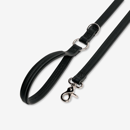 Merci Collective Jump Around Waterproof Dog Leash