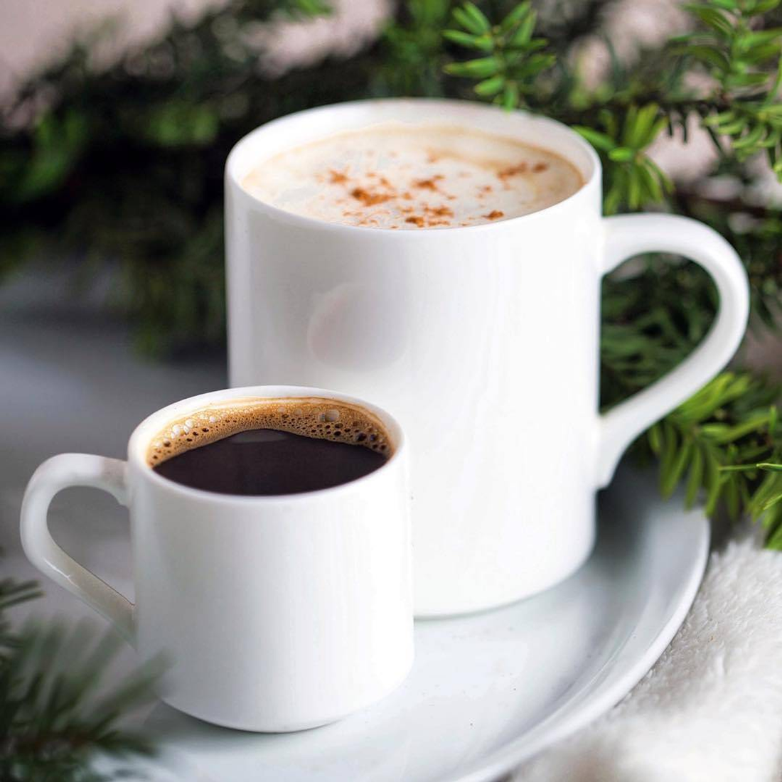 Wilmax Fine Porcelain Cappuccino Cup and Saucer Set, 3 oz, Set of 6