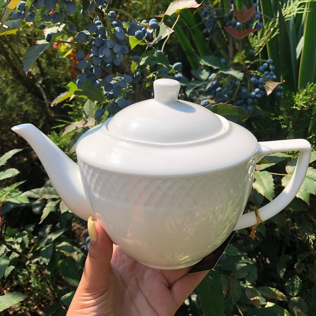 Wilmax Julia Porcelain Teapot, 30 oz