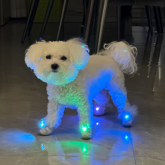 Light-up dog shoes, photo 3