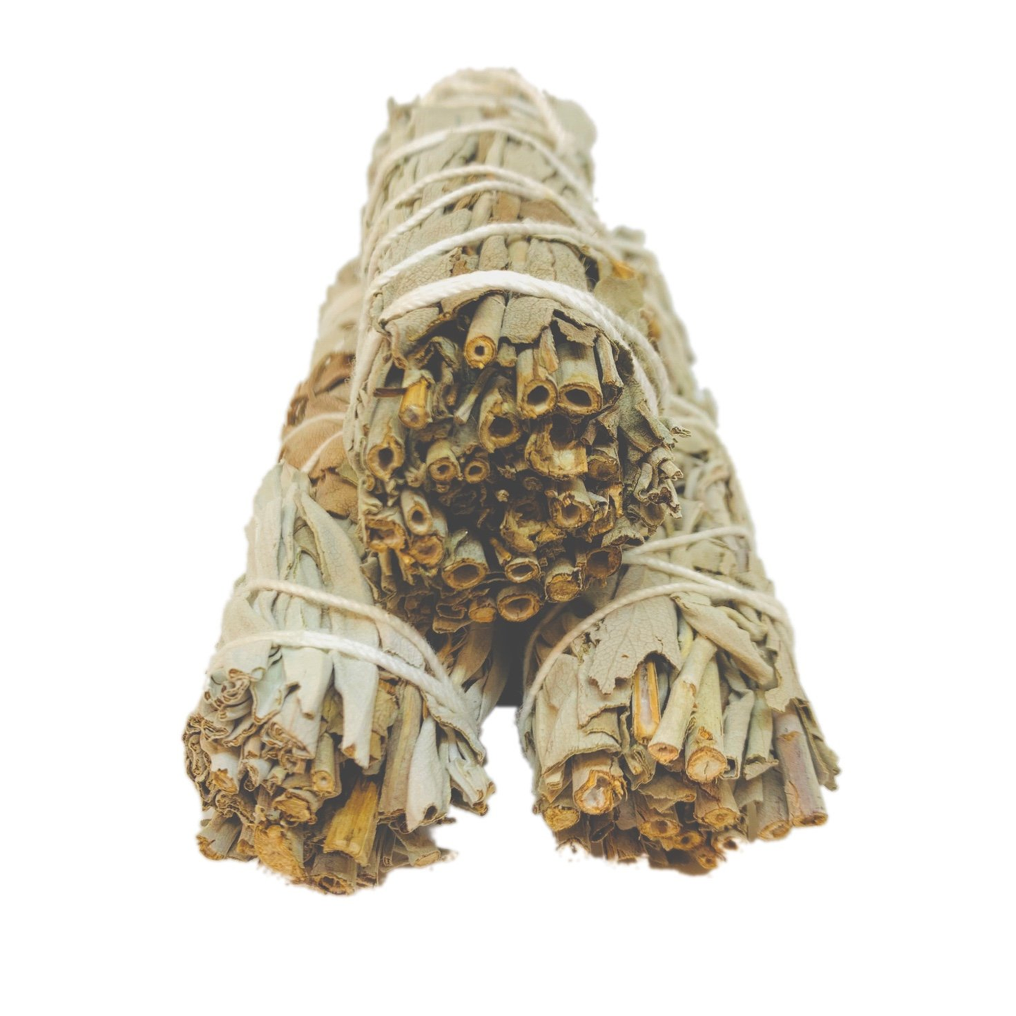 White Sage Smudge Pack of 3 by CuartoAstral