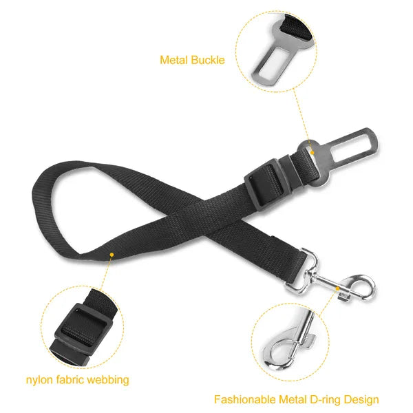 Dog seat belt leash with metal buckle tab, nylon webbing and swivel clip