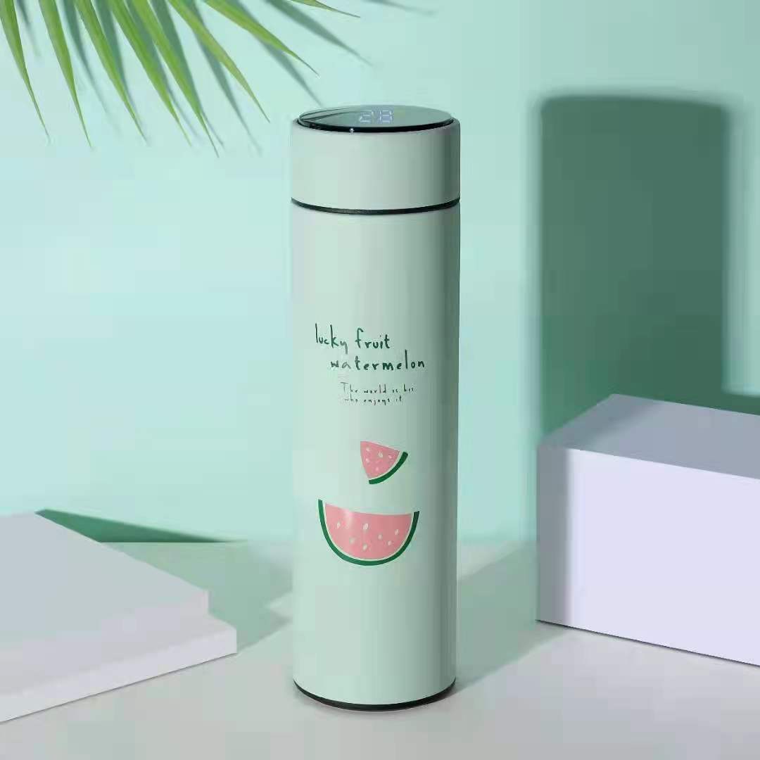 500ml Stainless Steel Vacuum Thermos Cup with Smart Temperature Display and Tea Infuser