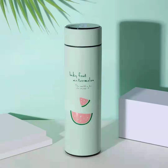 500ml Stainless Steel Vacuum Thermos Cup with Smart Temperature Display and Tea Infuser