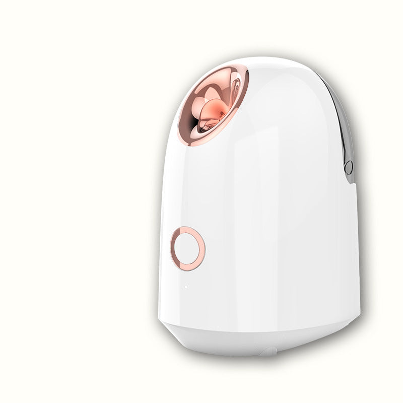 Facial Steamer Device - Image 7
