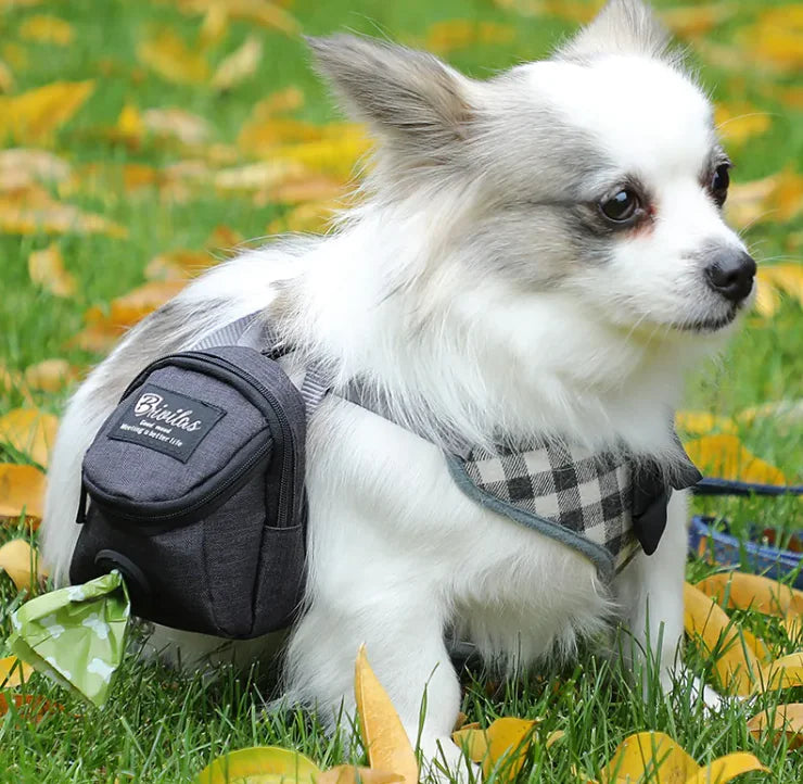 Pet Voyage Fashion Carrier