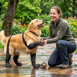 Adjustable Anti-Slip Dog Shoes