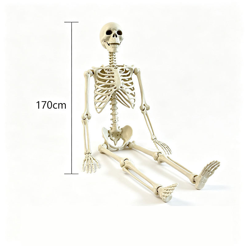Halloween Skeleton Skeleton
