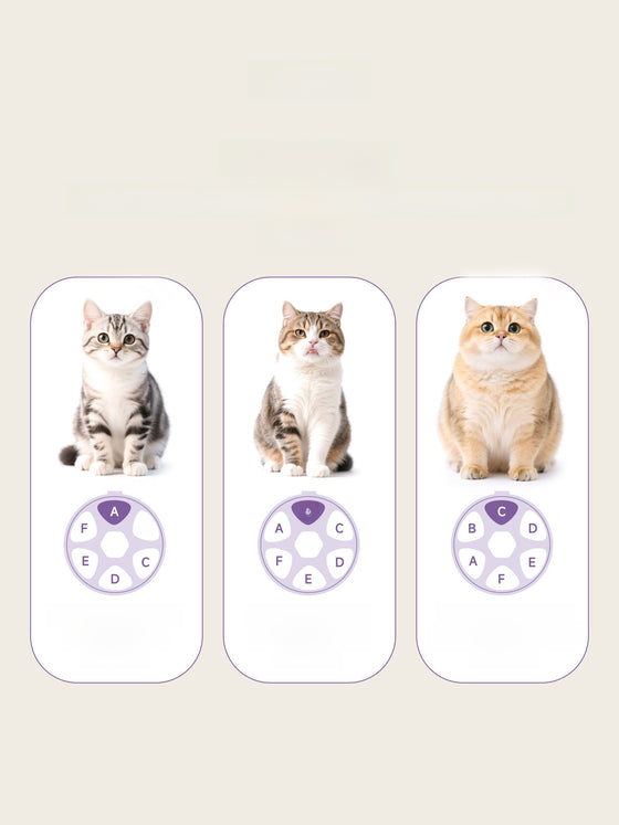 Automatic Pet Feeder