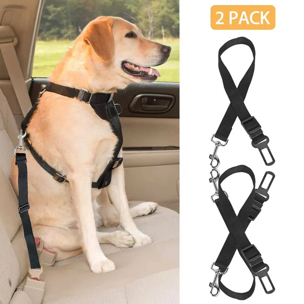 Dog in a harness clipped to a car seat belt leash, with the 2-pack shown