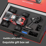 Professional RC Remote Control Car