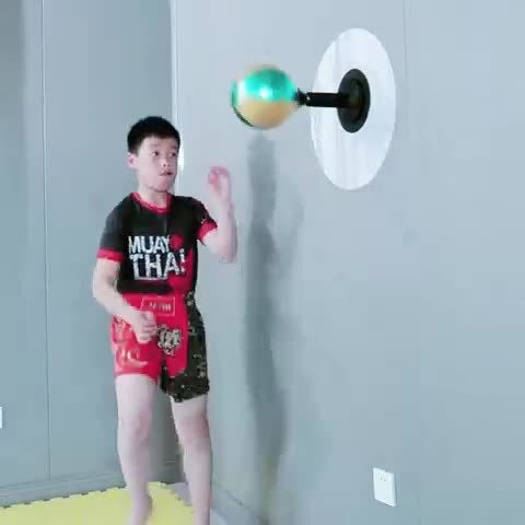 Desktop Boxing Speed Ball product image 2