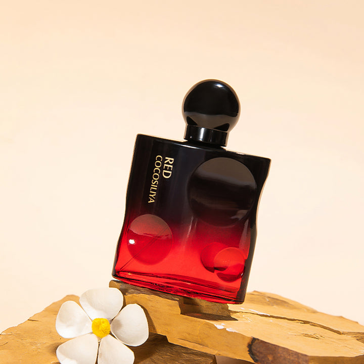 Temptation Niche Perfume packaging box