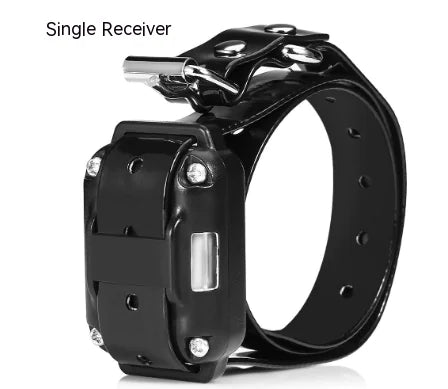 Dog training collar detail
