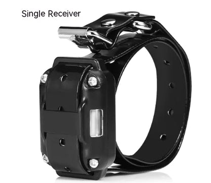 Dog training collar detail
