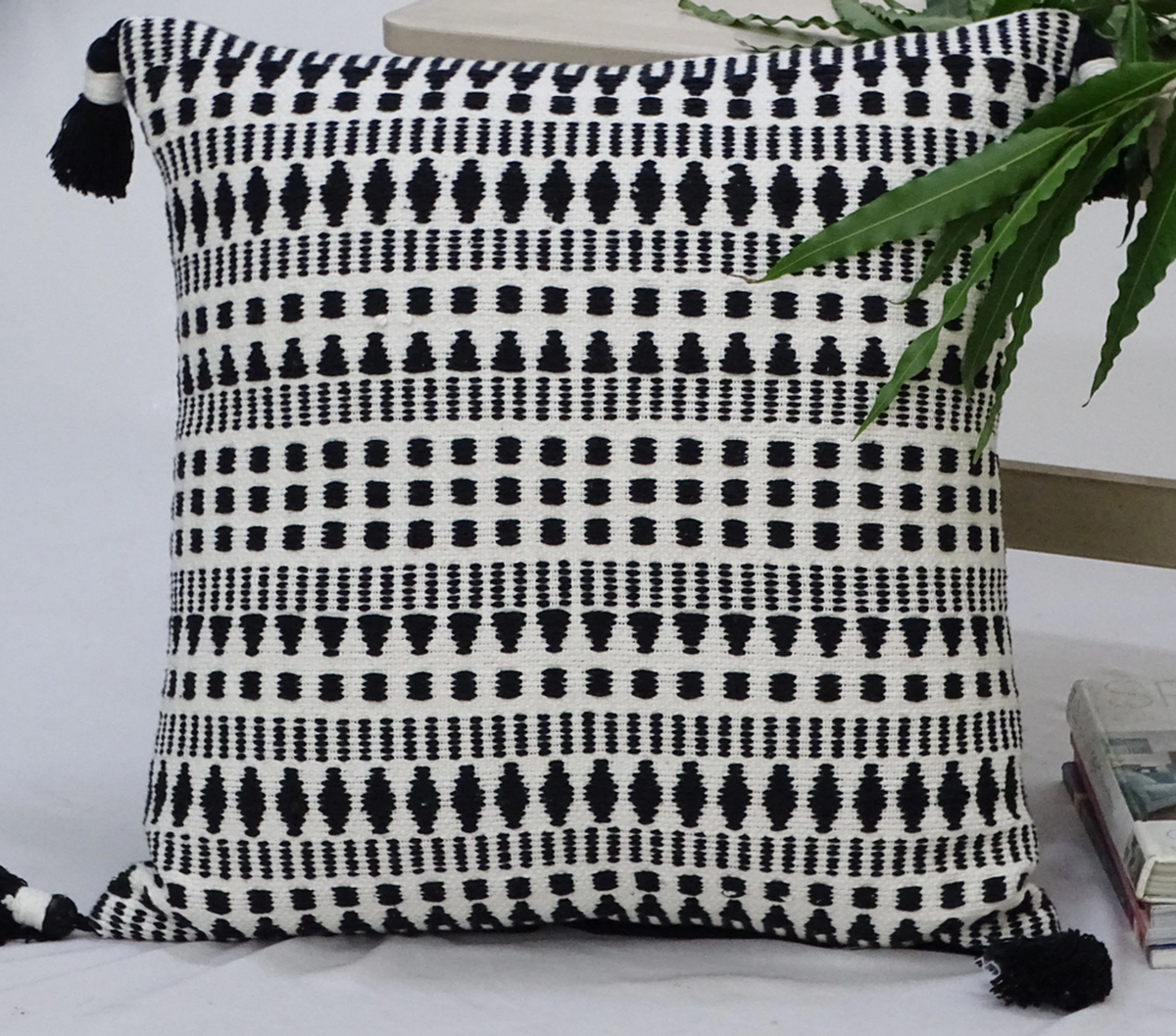 Chicos Home Tasseled Accent Throw Pillow, 22 x 22 Inch