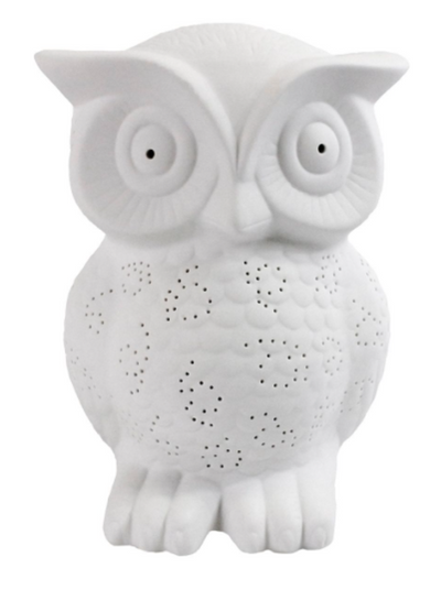 Simple Designs Porcelain Wise Owl Table Lamp