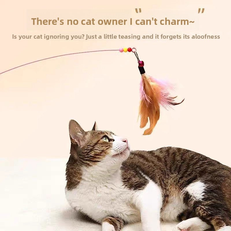 Interactive Cat Teaser Toy with Feathers and Bell, Durable Wire Wand for Kitten Play