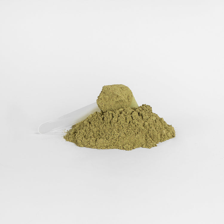 Green Superfood Powder for Energy Digestion and Wellness