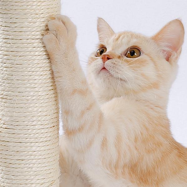 Ginger cat scratching the sisal rope post