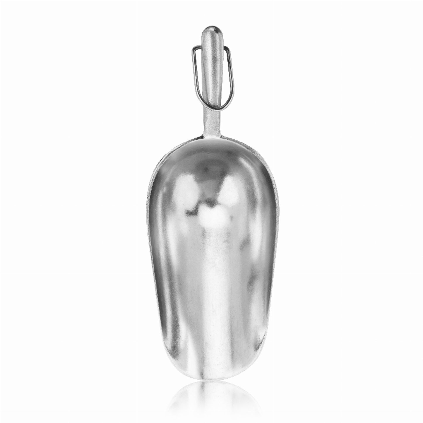Metal Ice Scoop