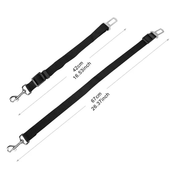 Two dog seat belt leashes showing 42 cm and 67 cm lengths