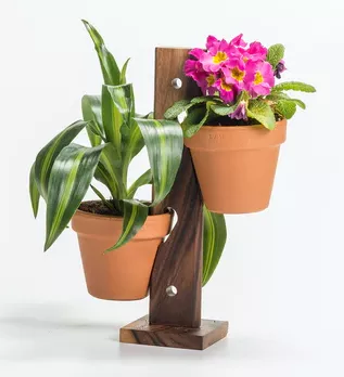 2-Pot Hanging or Standing Plant Holder