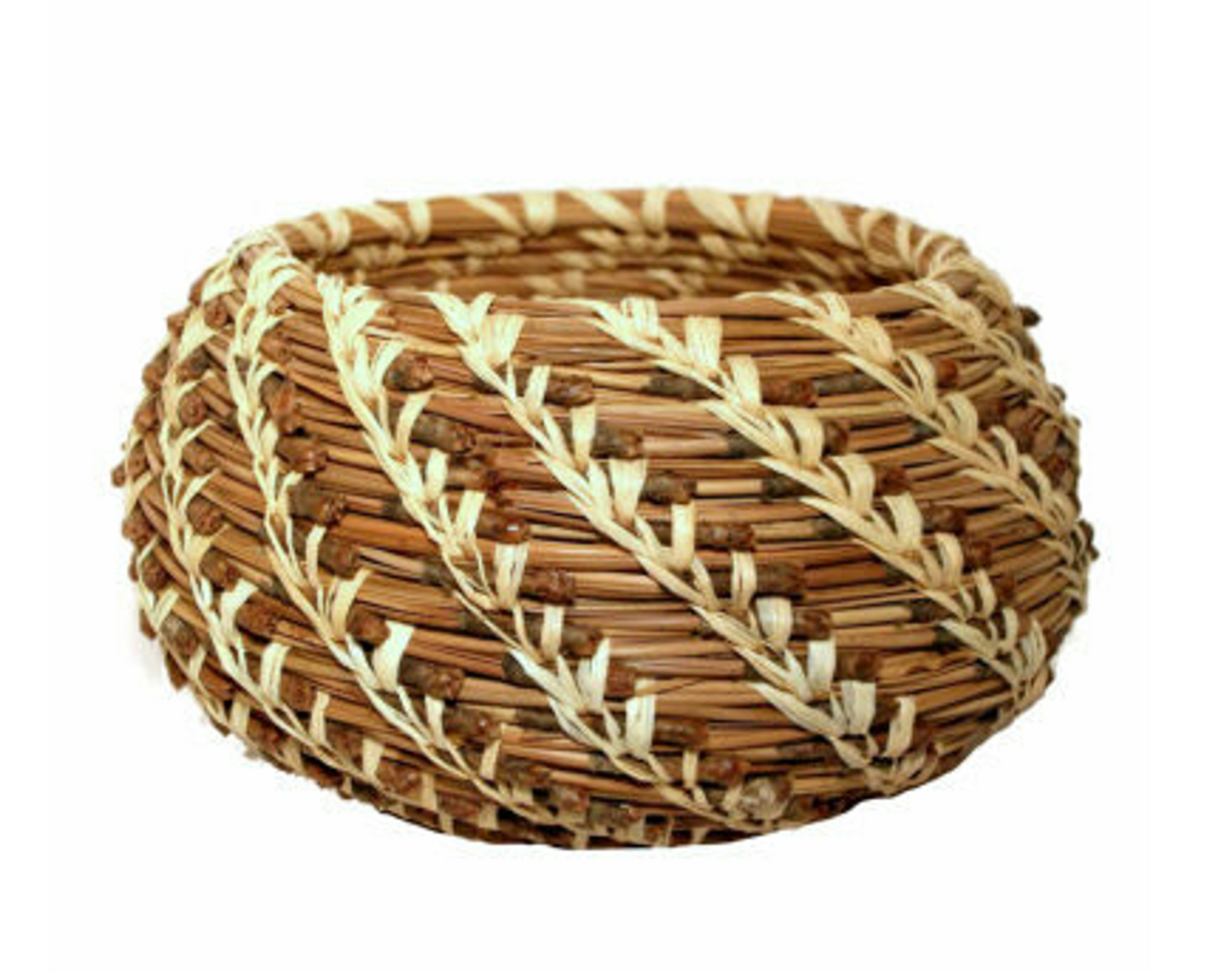 Pine Needle Coiled Basket Craft Kit