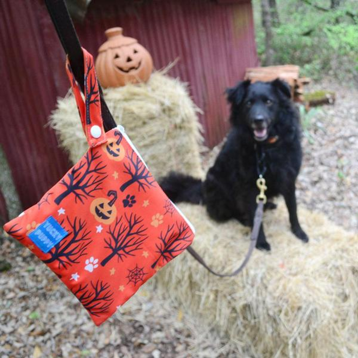 Yucky Puppy Poop Bag Holder - Halloween