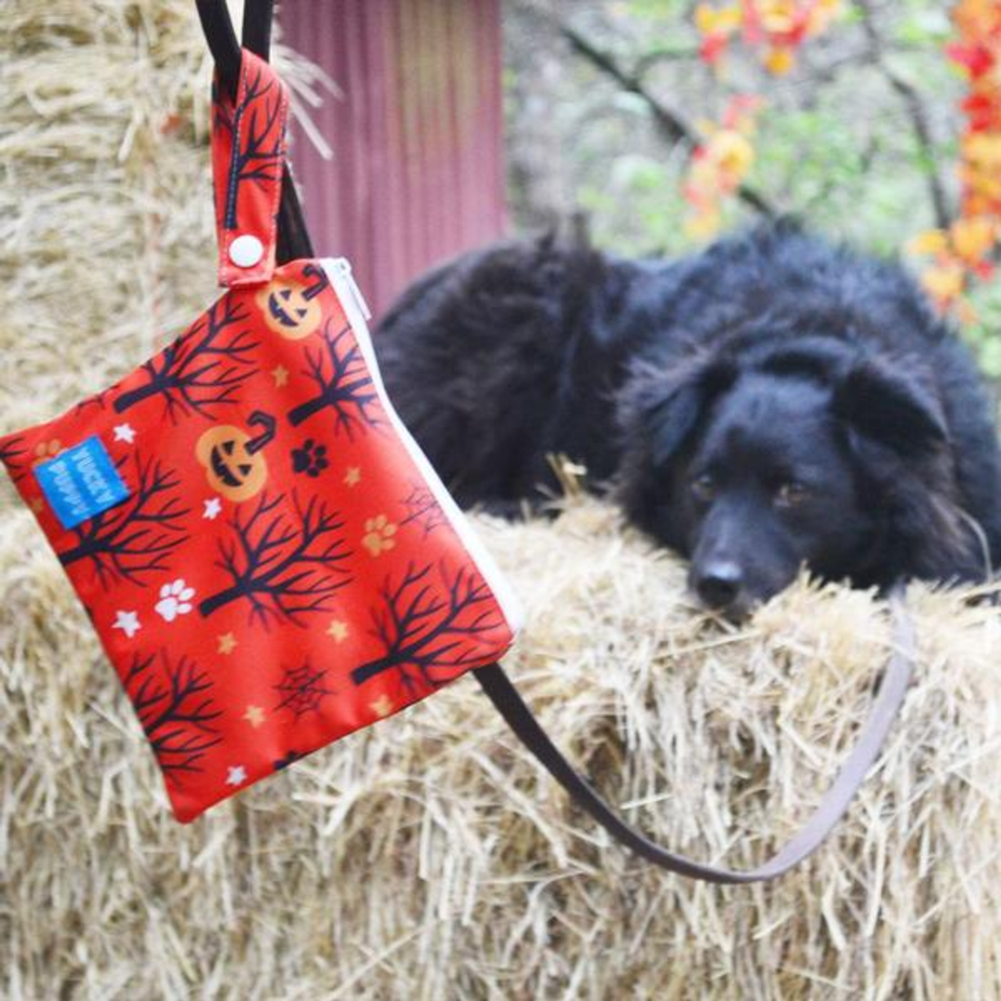 Yucky Puppy Poop Bag Holder - Halloween