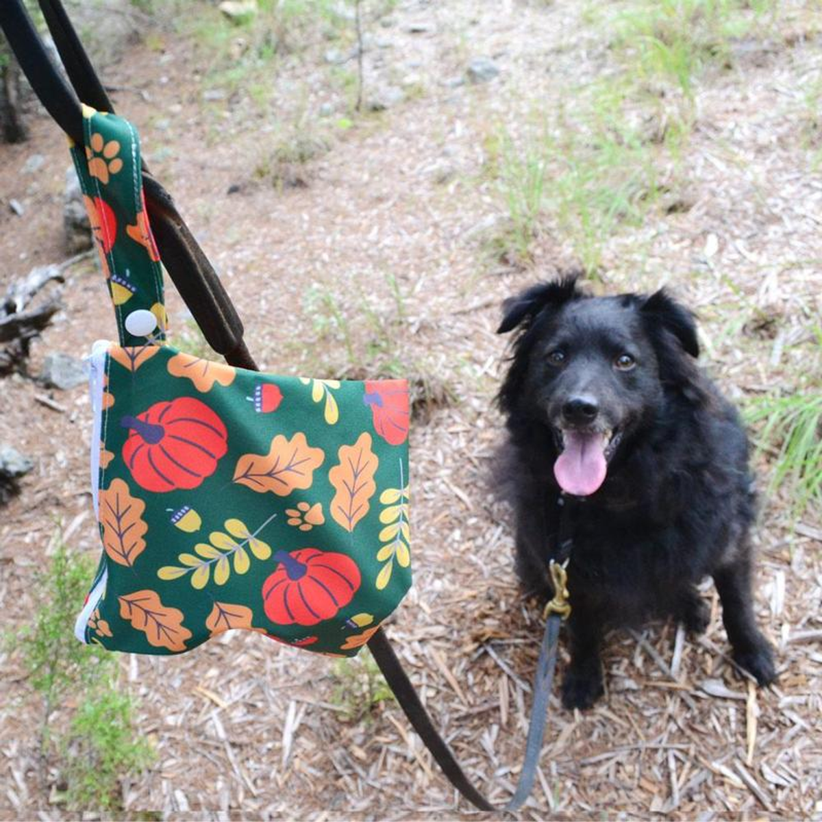 Yucky Puppy Autumn Dog Poop Bag Holder