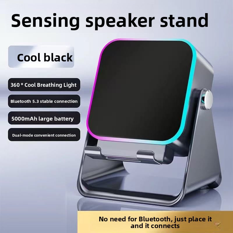 Wireless Induction Speaker