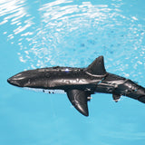 Electric Remote Control Water Jet Shark Toy
