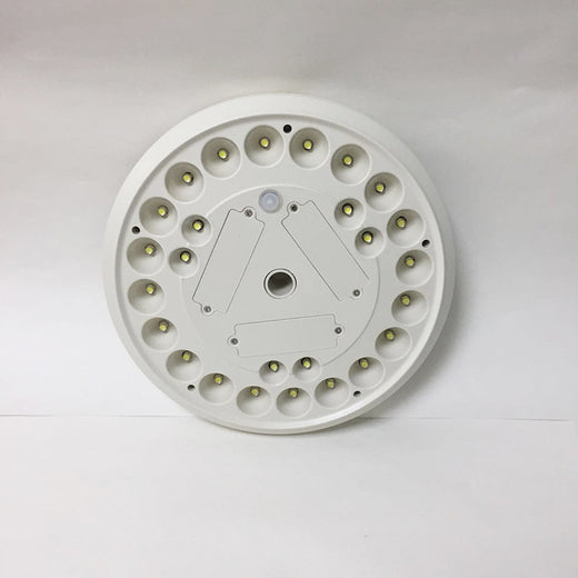 solar flagpole light