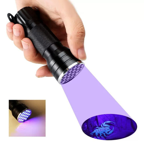 Hand holding purple UV flashlight shining a UV beam