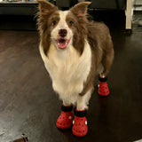 Breathable Dog Shoes Paw Protection Soft Sole