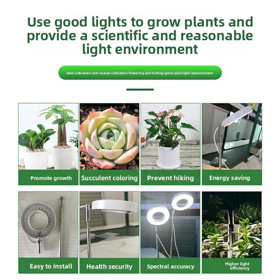 Retractable Plant Lamp Decor product image 4