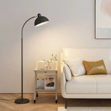 LED Floor Lamp