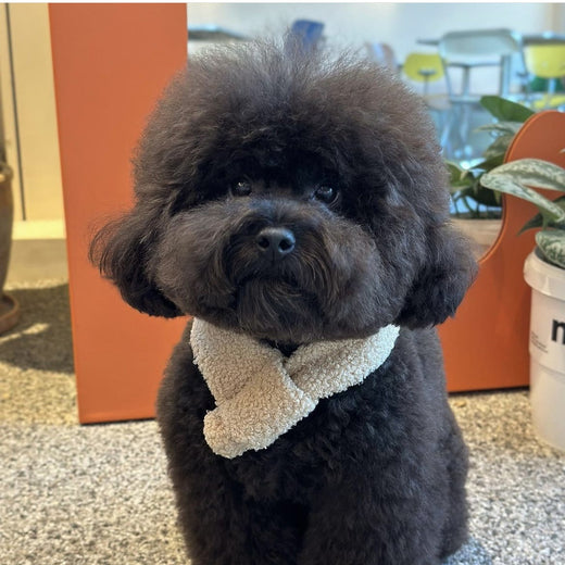 Fur-lined scarf pocket