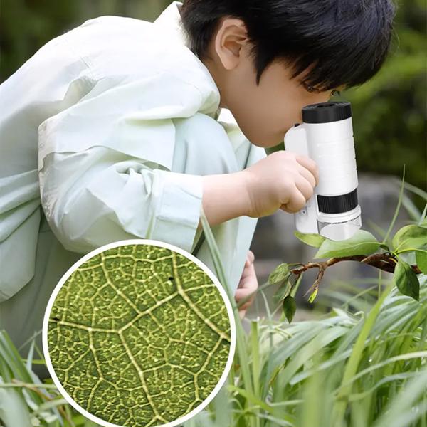 Boy using the pocket microscope on a plant outdoors with a magnified leaf view