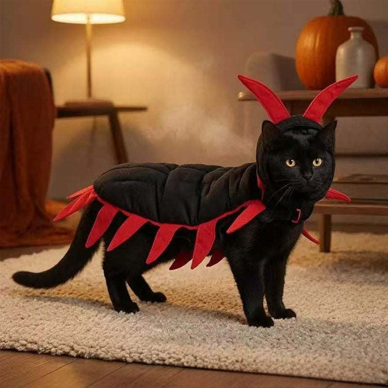 Cat Transformation Halloween Costume